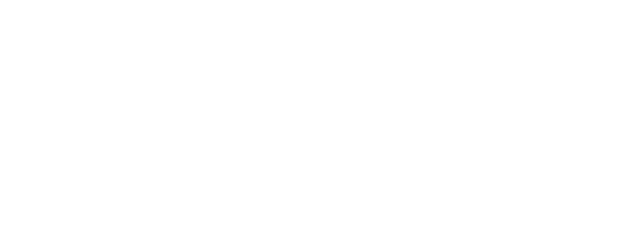 BVN Telecom Group